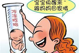 国内试管供卵代孕